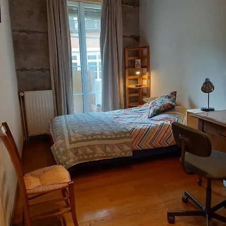 Chambre Chez L'Habitant, Room For Rent At Host'S Appartement Grenoble Exterior photo